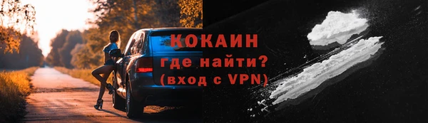 ГАЛЛЮЦИНОГЕННЫЕ ГРИБЫ Осинники