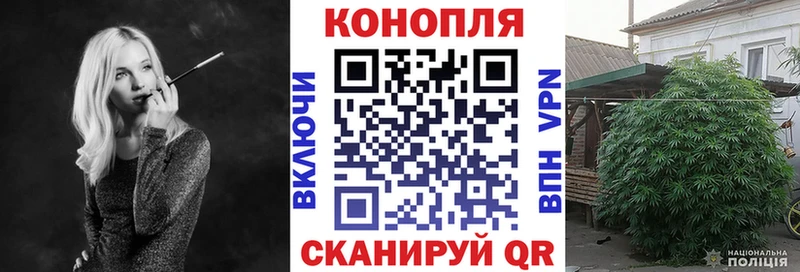 Шишки марихуана Bruce Banner  продажа наркотиков  Галич 